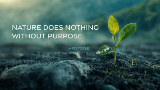 Aristotle Quote