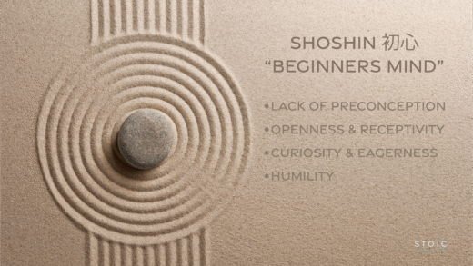 Shoshin core principles